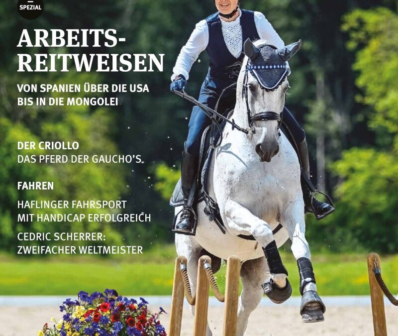 Bücher Horst Becker
