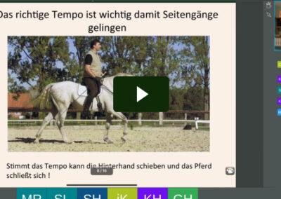 Einstieg in die Seitengänge und ihre Funktion