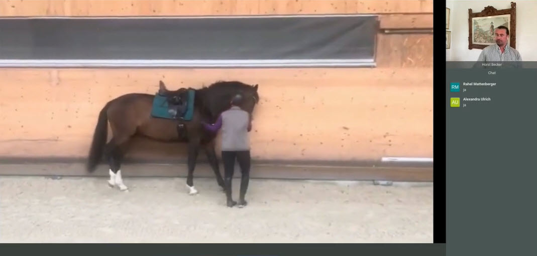 # Technik & Teamarbeit im  Reitsport